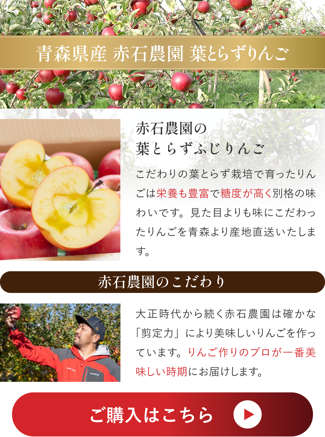 �ԐΔ_�������S�̂��w���͂�����