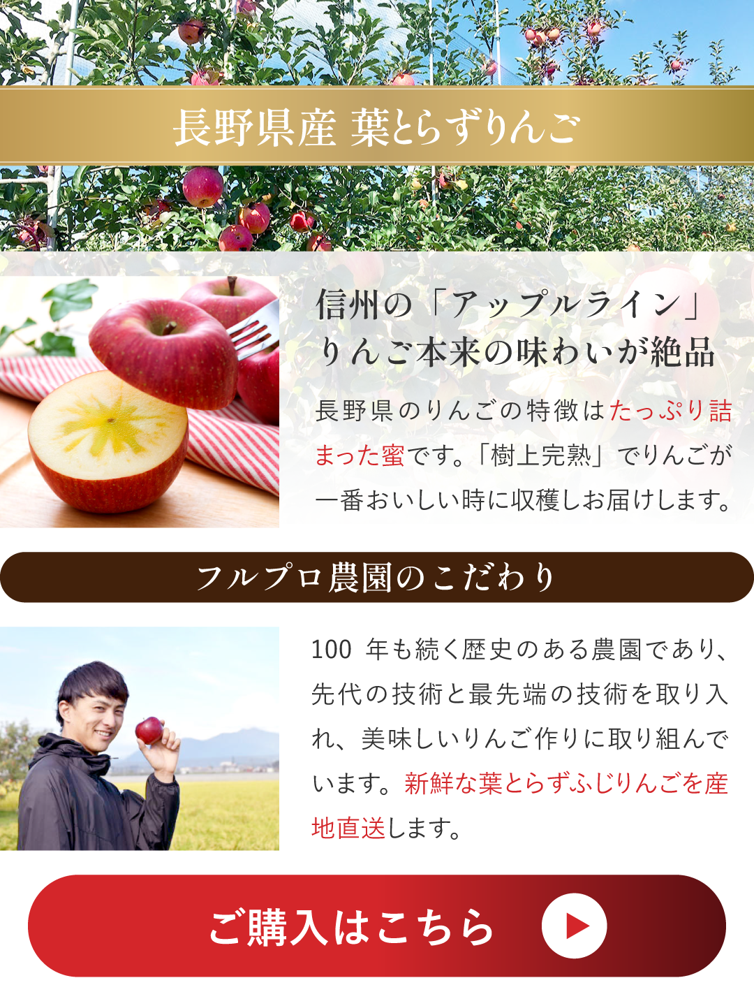 �t���v���_�������S�̂��w���͂�����