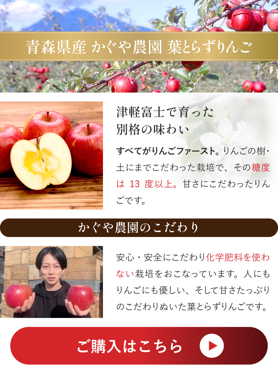 ひまりんごページ 048-meigetsu10kg02.jpg