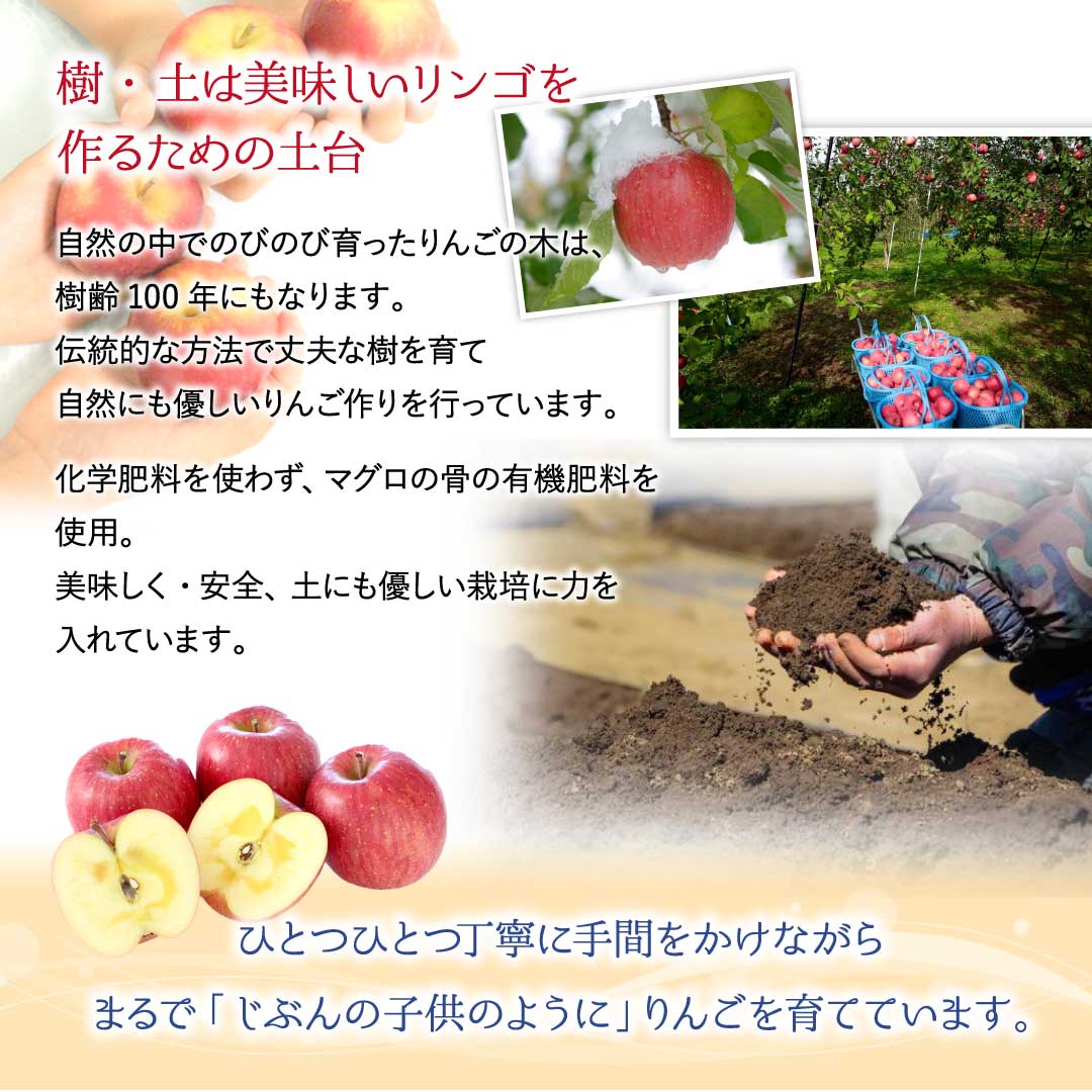 Ey͔S邽߂̓y