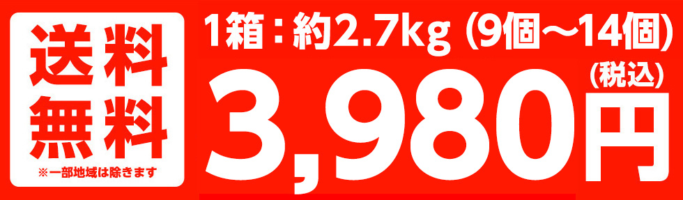 約3kg(8個〜12個)　送料無料　3980円