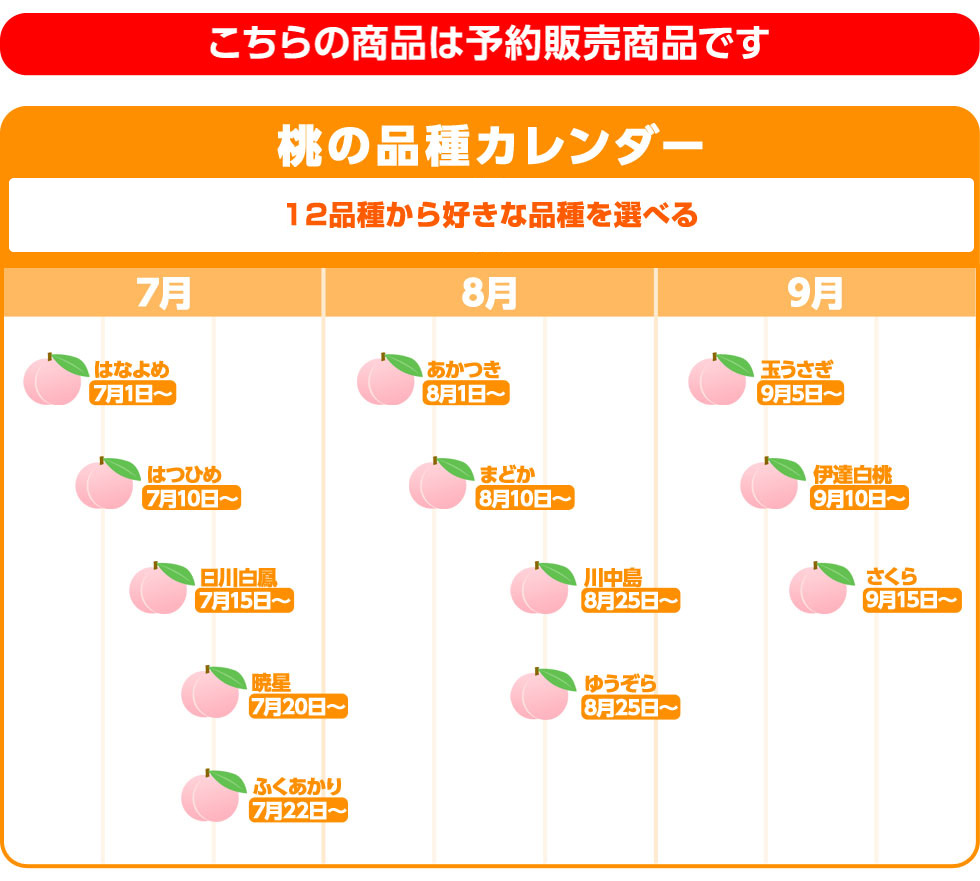 福島県産訳あり献上桃の郷の桃5kg