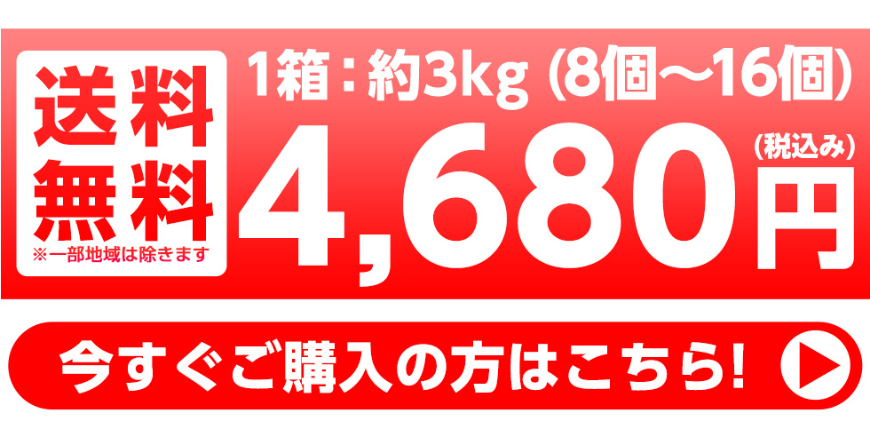 約3kg(15個〜18個)　送料無料　4800円