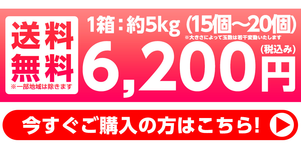約5kg(15個〜18個)　送料無料　4800円