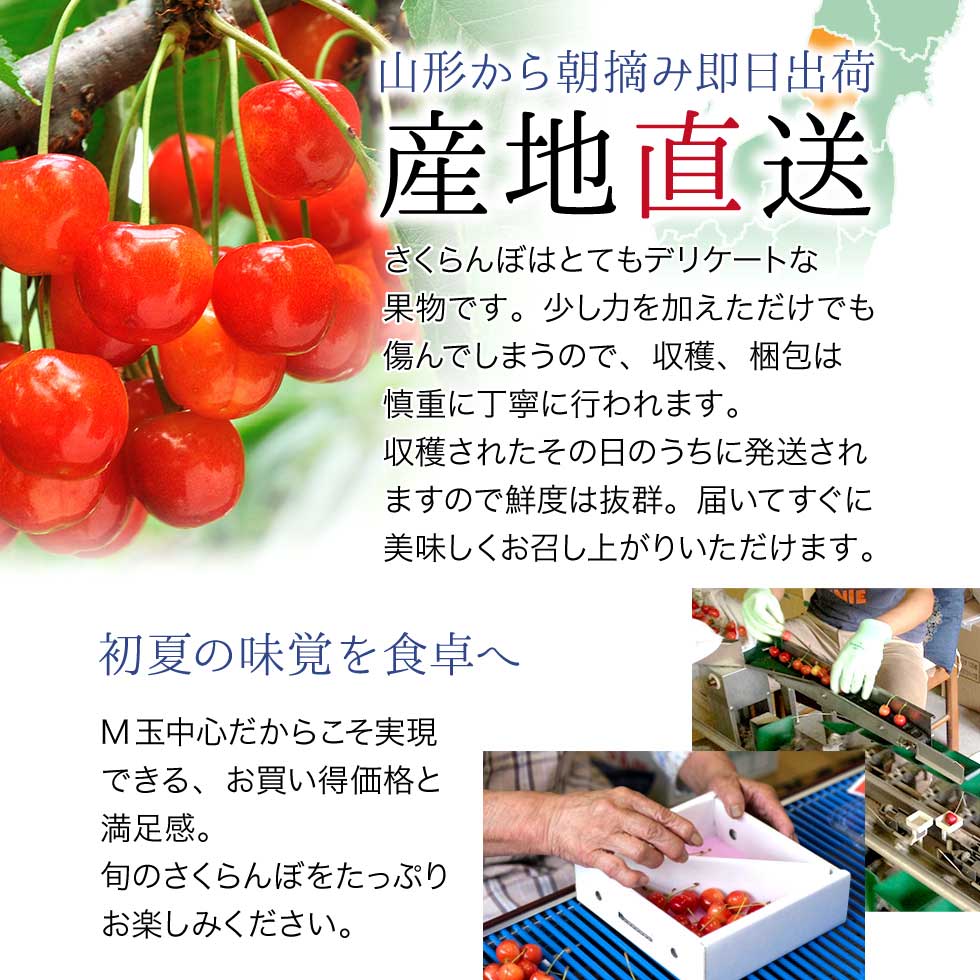 山形県産 さくらんぼ 優品700g バラ詰め（佐藤錦・紅秀峰）｜産地直送