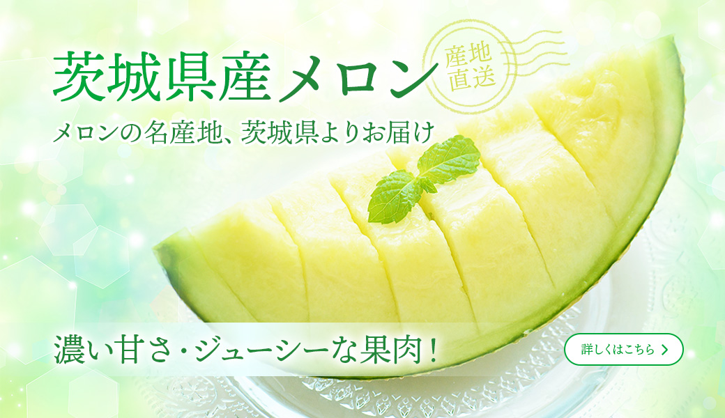 茨城県産メロン