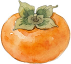 その他果物