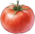 加工品・野菜