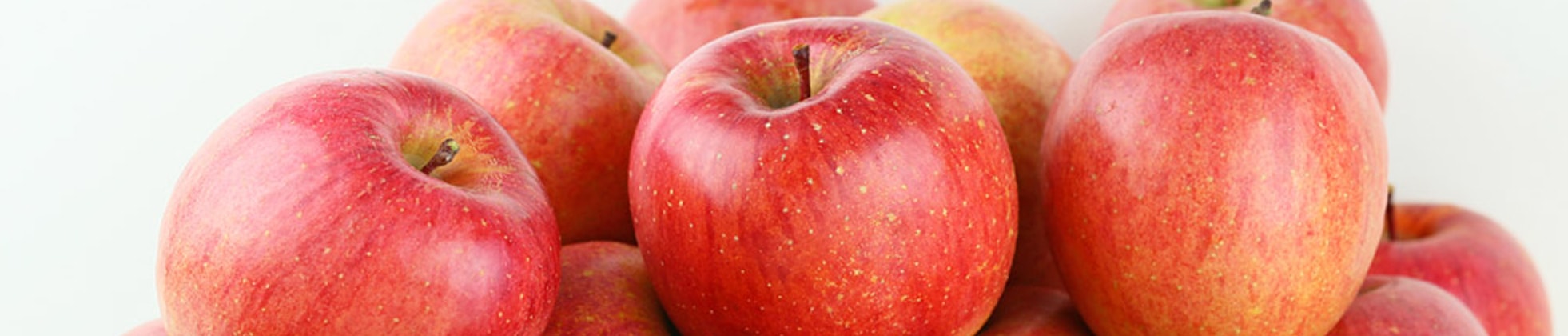 ��񂲂�����ł���l�q