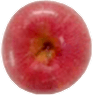 �T�r�̂�����