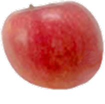 �ό`�������