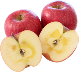 ���k�̔����������