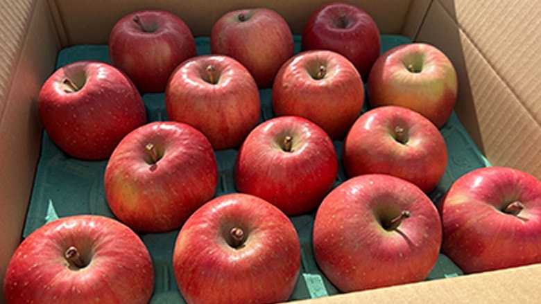 ���l�߂��ꂽ���