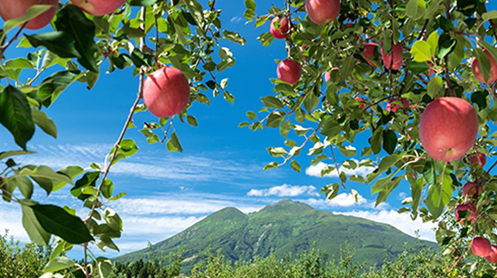 �؂ɂȂ������