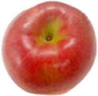 ���܂�̂��