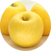 �V�i�m�S�[���h