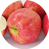 �W���i�S�[���h