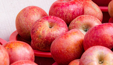 ���ƒ�p�E�󂠂�