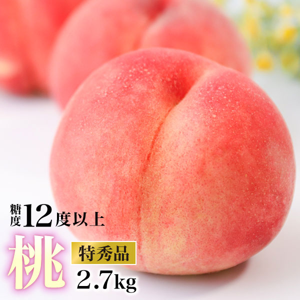 �������Y ���G �� 2.7kg��(6�`12��)