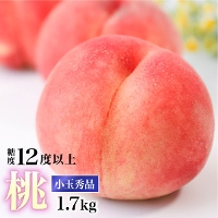福島県産 秀 小玉　桃　1.7kg箱(4〜10玉)