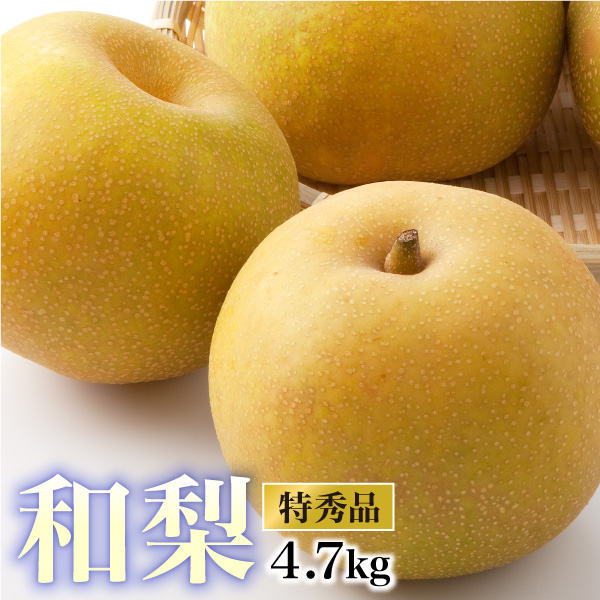 �������Y �� ���G�i ��4.7kg