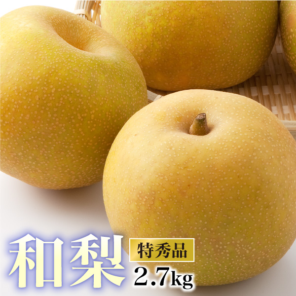�������Y �� ���G�i ��2.7kg