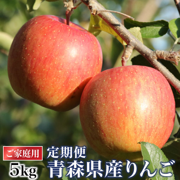 �X��񂲒���� 5kg