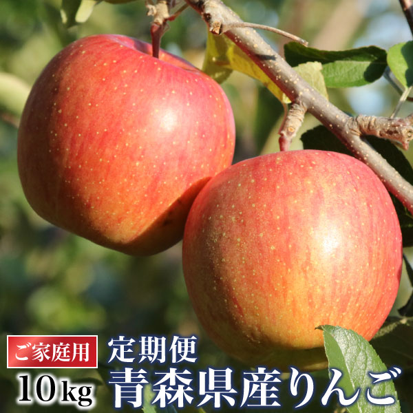 �X��񂲒���� 10kg