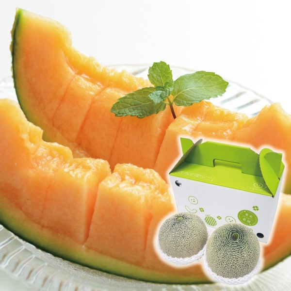 ��ԃ������Q