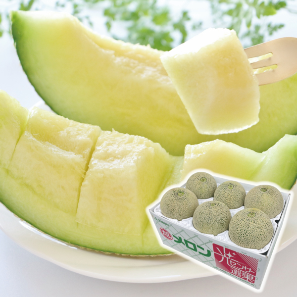 ��錧�Y �������� �󂠂�4.5�`5�s( 5�`6�ʓ���) 