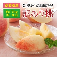 Y 󂠂蓍 1.7kg(5`9)