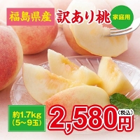 Y 󂠂蓍 1.7kg(5`9)iFSj