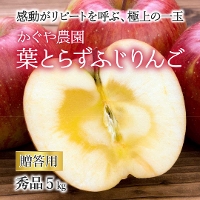 XY _ p tƂ炸 5s