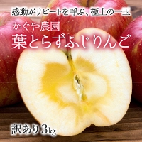 XY _ tƂ炸ӂ3s