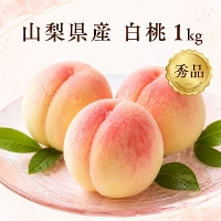 �R�����Y �G�i ���� 1kg