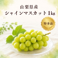 �R�����Y �V���C���}�X�J�b�g ���G�i��1kg
