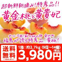 山形県産 黄桃 特秀品 3kg（8〜12玉 )
