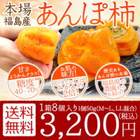 福島県産 あんぽ柿 8個入(1個約50g) 