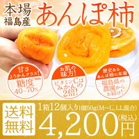 福島県産 あんぽ柿 12個入(1個約50g) 