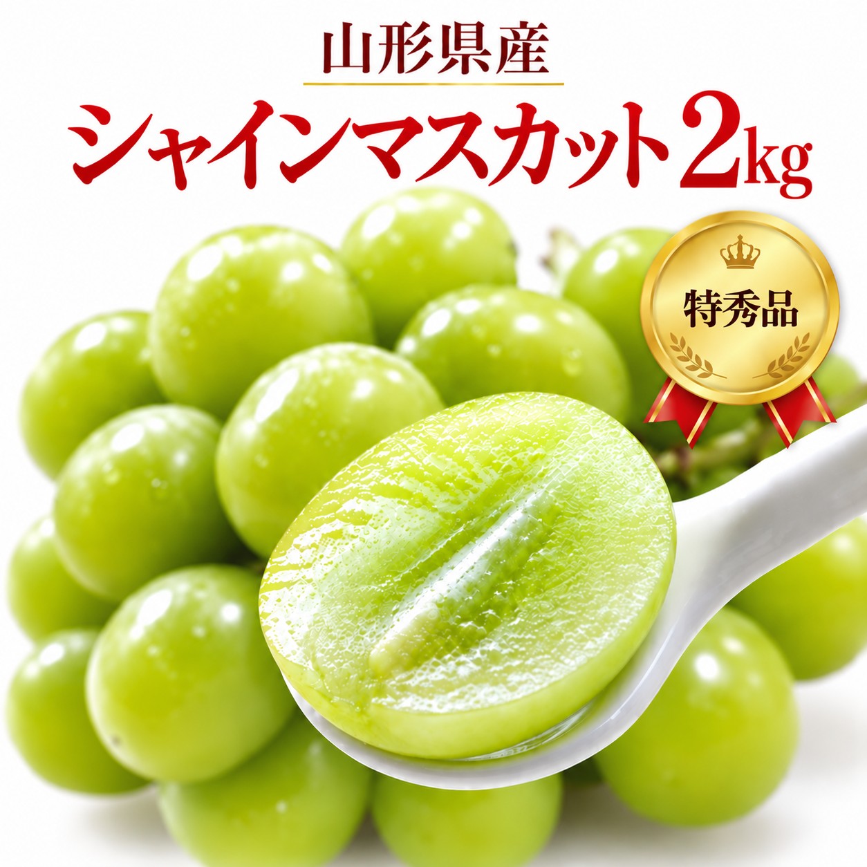�R�`���Y �V���C���}�X�J�b�g ���G 2kg
