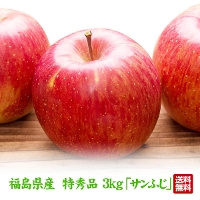 福島県産 りんご 特秀品 3kg(9玉〜12玉) 
