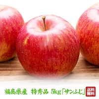 福島県産 りんご 特秀品 5kg(13玉～20玉) 