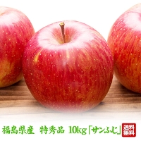 福島県産 りんご 特秀品 10kg(26玉～40玉) 
