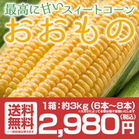 福島県産 トウモロコシ 6〜8本 約3kg