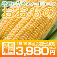 福島県産 トウモロコシ 10〜12本 約5kg