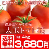 福島県産 大玉 トマト 4kg 酸味と甘みのバランスが絶妙な新鮮トマト