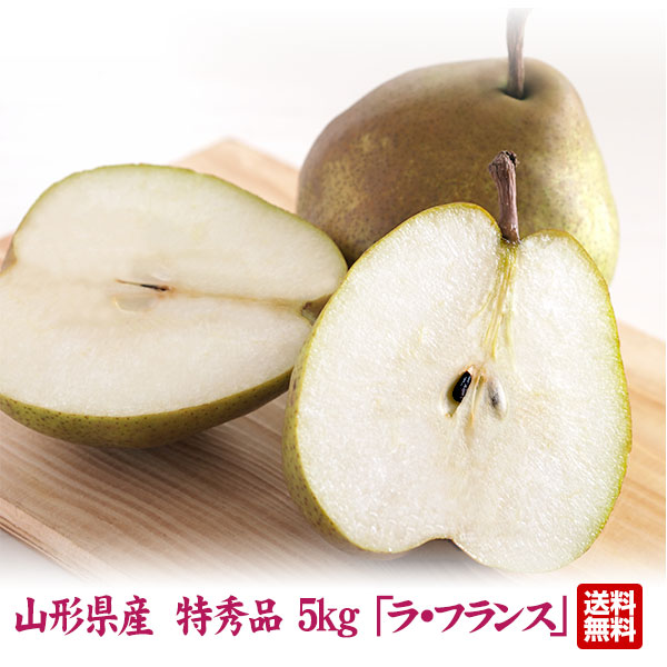 �R�`���Y ���E�t�����X ���G 5kg