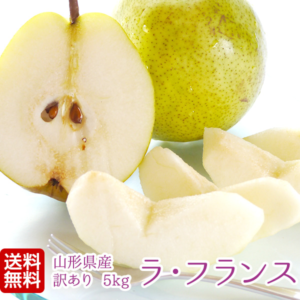�R�`���Y ���E�t�����X �󂠂� 5kg