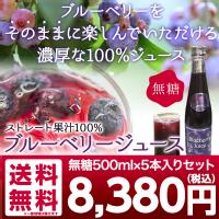 ブルーベリージュース(無糖) 500ml×5本入りセット