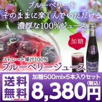 ブルーベリージュース(加糖) 500ml×5本入りセット